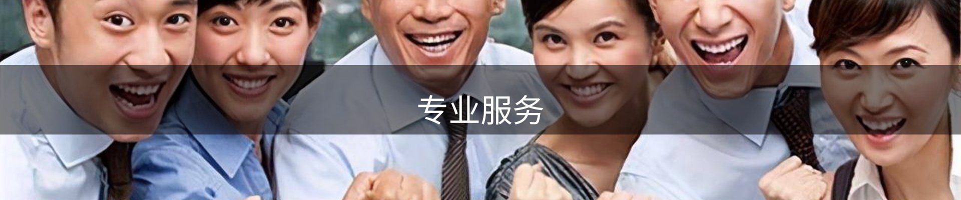 专业服务